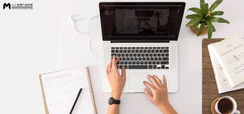 软件外包服务的创新战略与产品服务系统设计