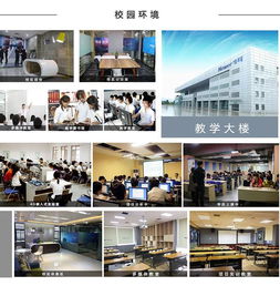 牛耳教育2019年度招生简章暨软件外包服务简介