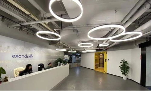 长宁三家企业荣登上海软件外包服务立项名单，助力区域数字经济发展